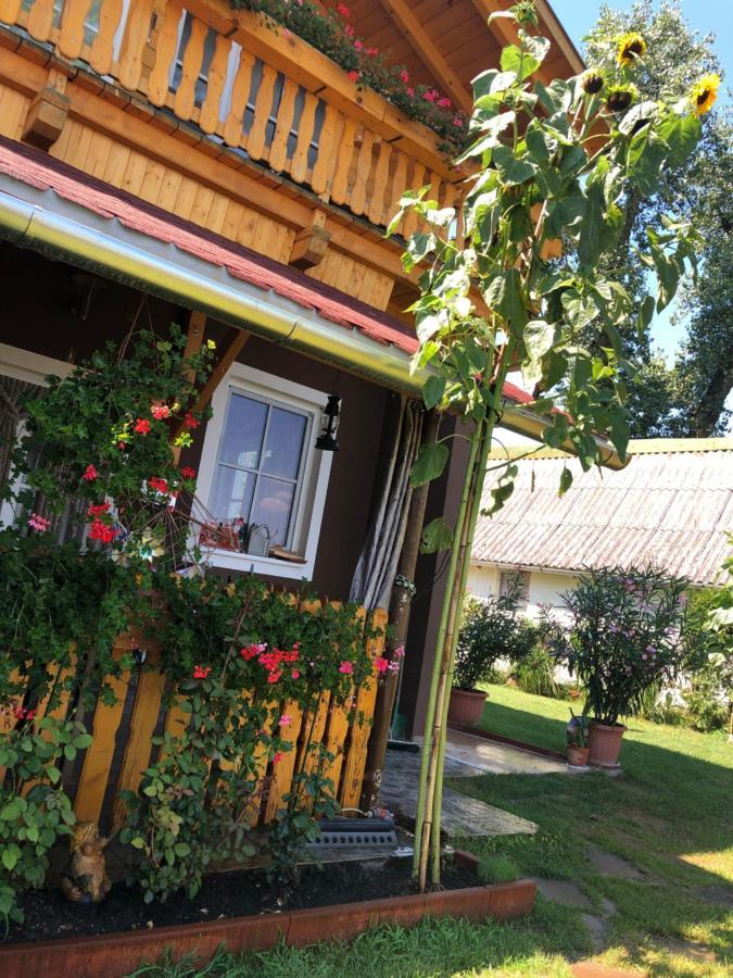 Hero 4 Sterne Ferienhaus Baja Esterno foto